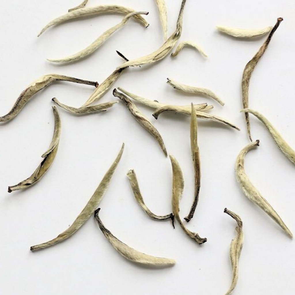 Sun dried Darjeeling Silver Needle White Tea leaves sourced from Riverbeki tea on a white background
