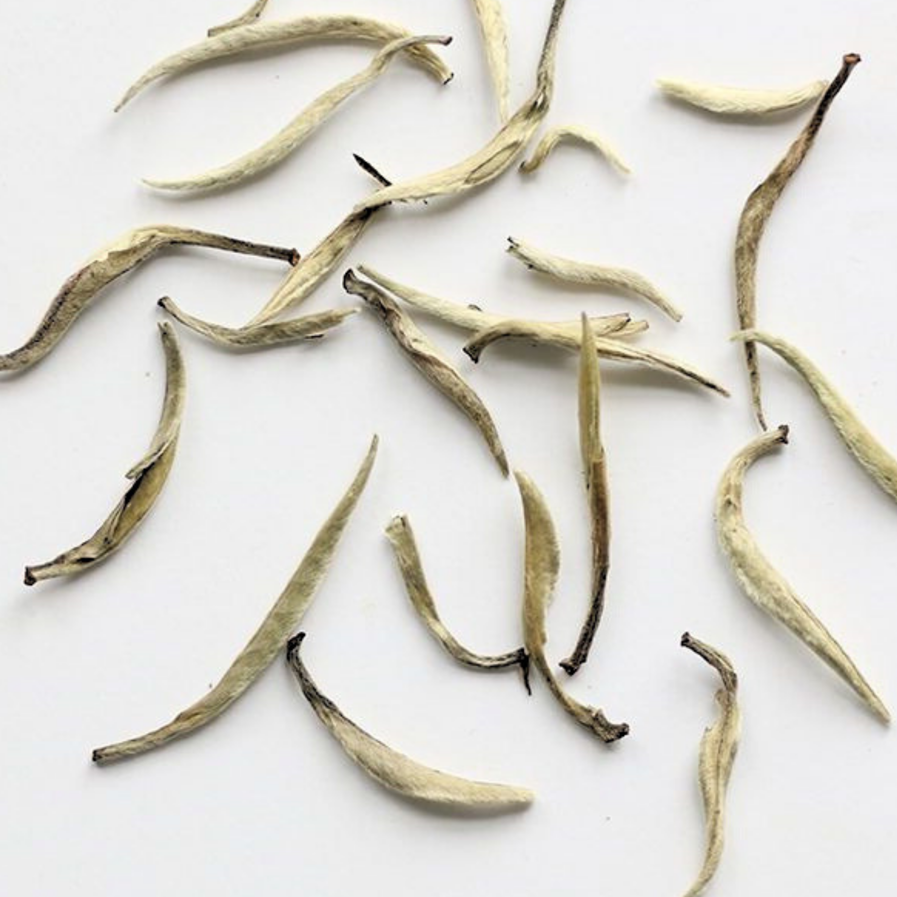 Riverbeki Darjeeling Silver Needle White Tea — Loose Leaf, First Flush, Low Caffeine | Zipper Pack