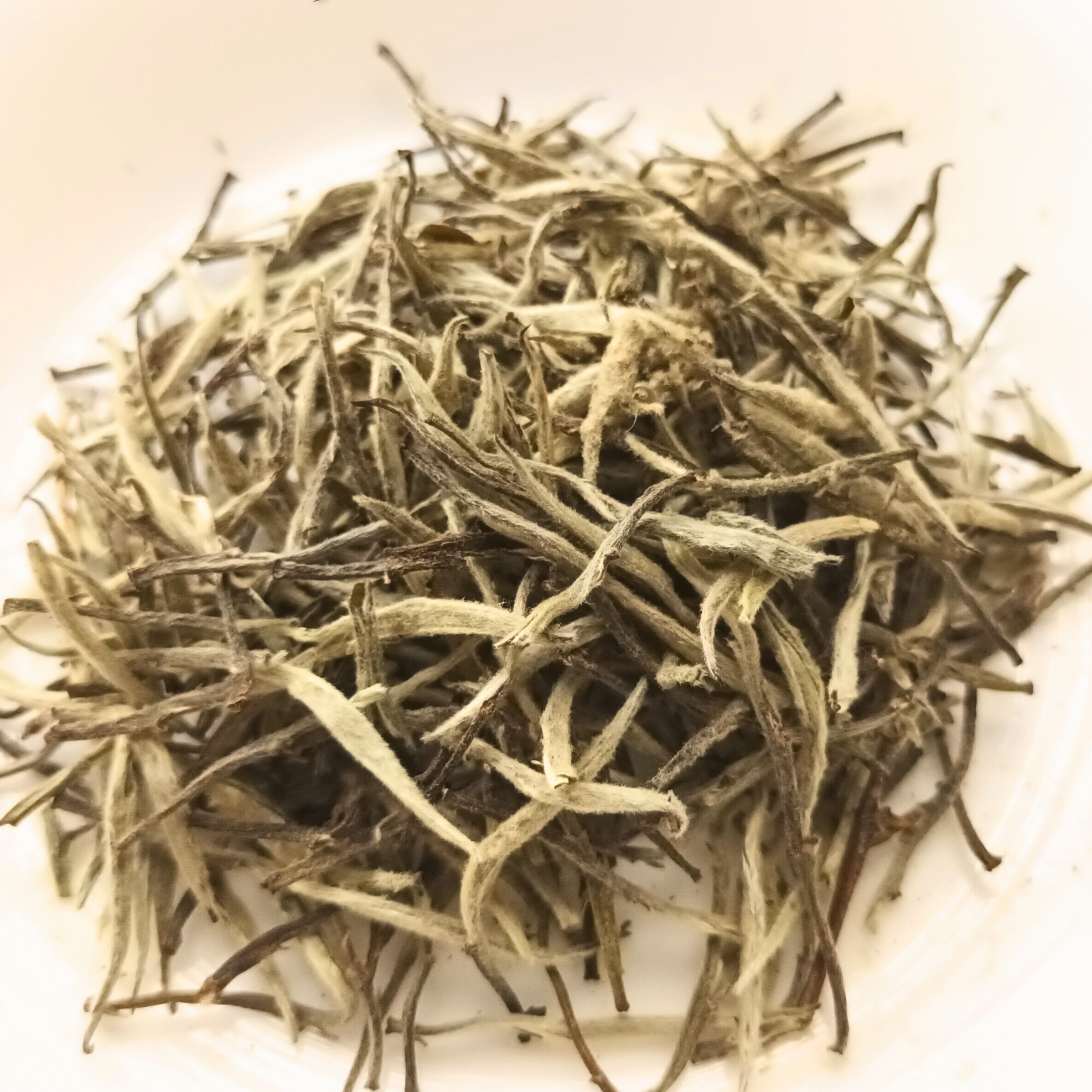 Riverbeki Darjeeling Silver Needle White Tea  leaves on a white ceramic plate with white background on 'Riverbeki Tea' branding.