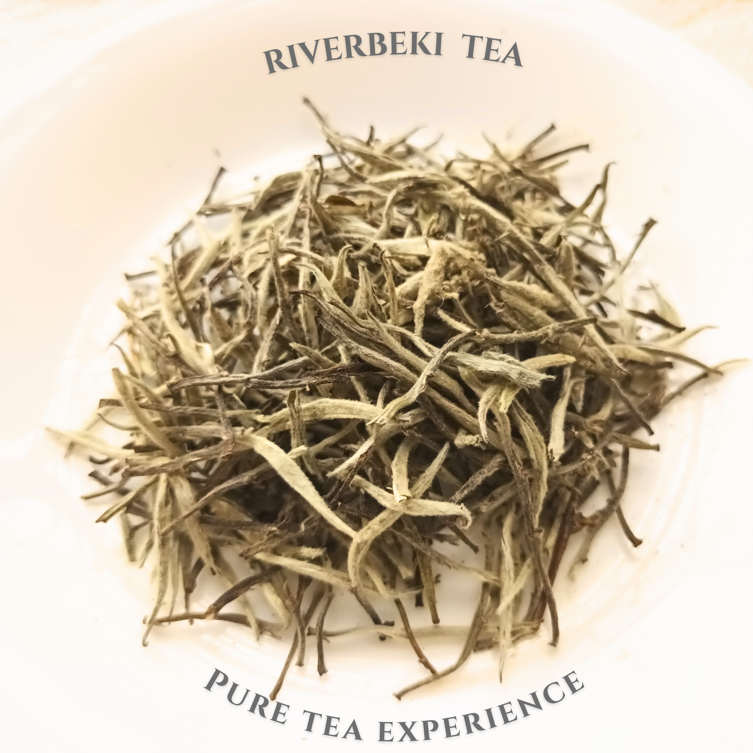 Riverbeki Silver Needle White Tea 50 g | Organic Loose Leaf | Low Caffeine, High Antioxidants | Large, Downy Buds - Upper Darjeeling | Red Pack